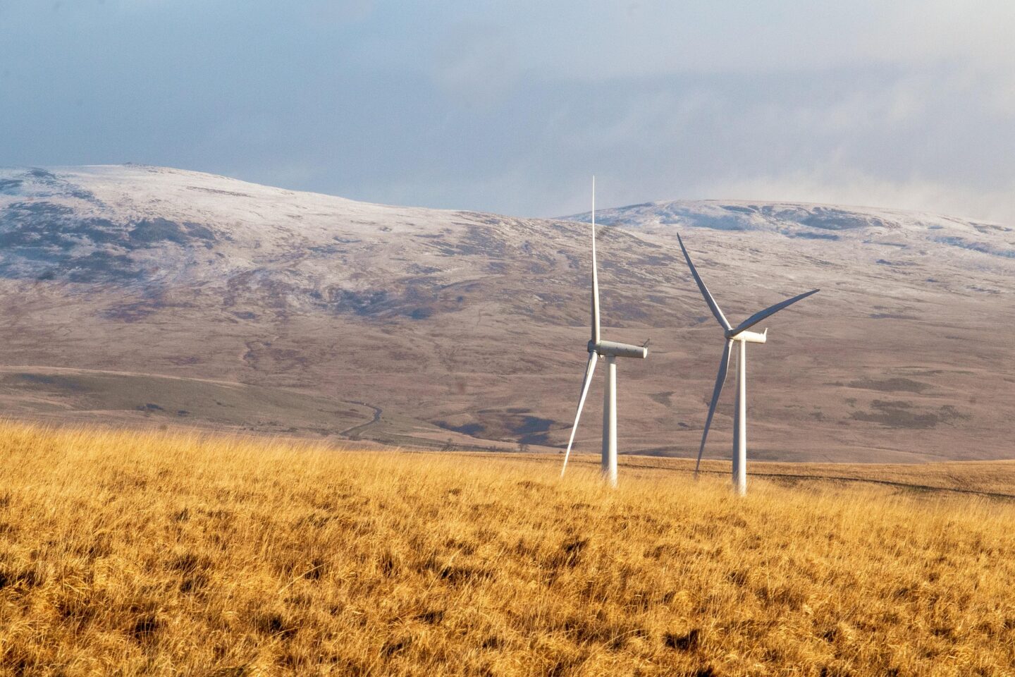 Ekoenergetyka – zielona transformacja energii, nowoczesne technologie i przyszłość zrównoważonej gospodarki